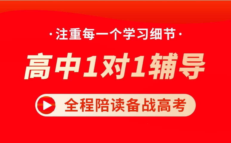高中1对1个性化课程